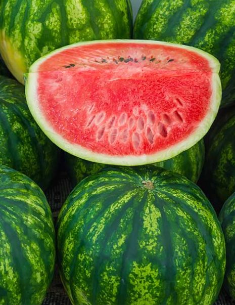 Watermelon